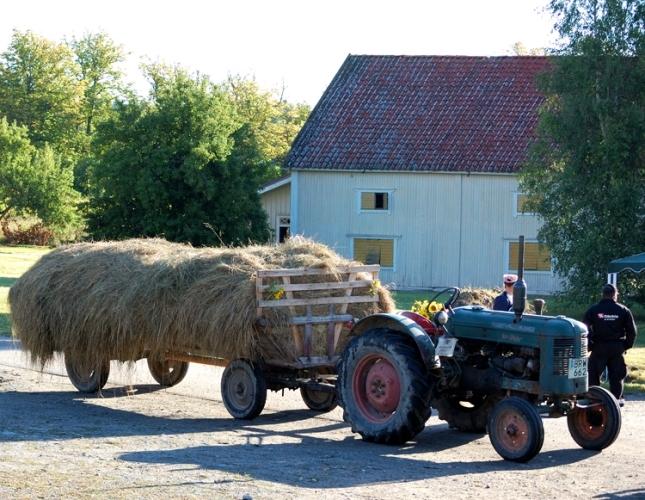 Traktorer 2007_14.jpg